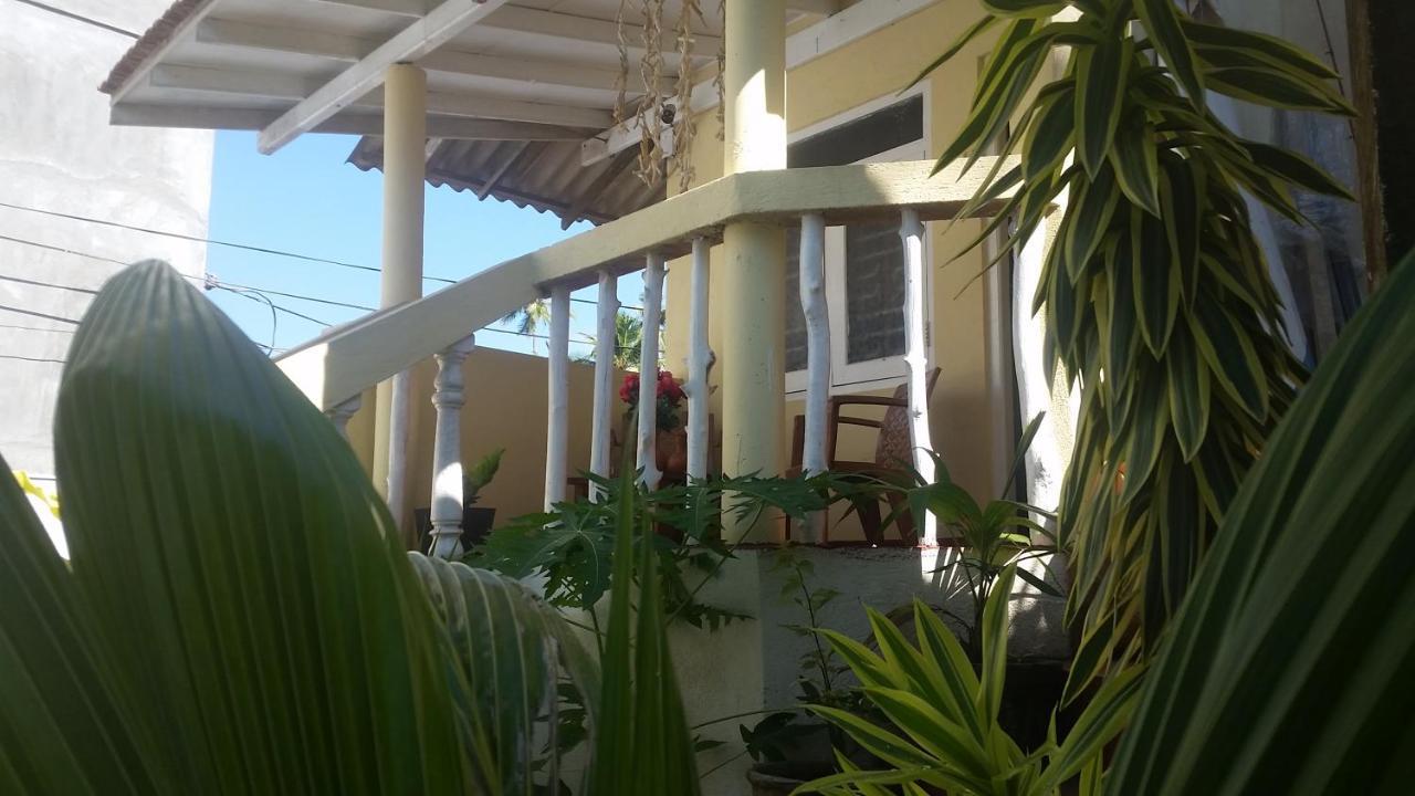 Turtle Reef Guest Bed & Breakfast Mirissa Exterior photo
